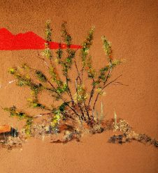 Outdoor Patio Wall becomes part of the desert scenery.